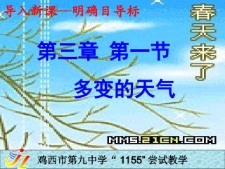 多变的天气课件