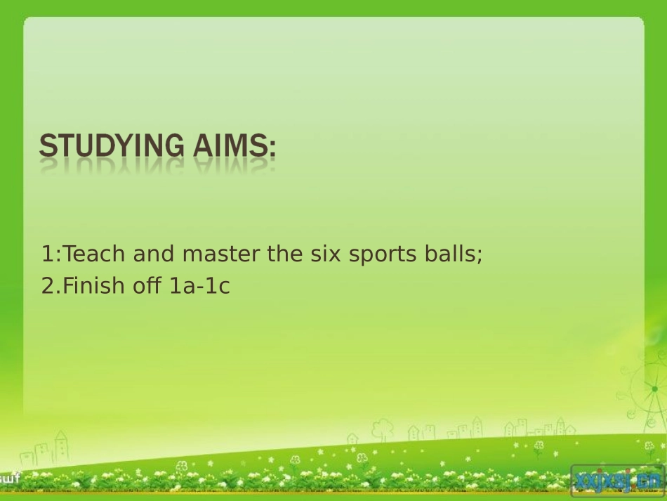 七年级上册Unit5_Do_you_have_a_soccer_ball？第一课时课件_第2页