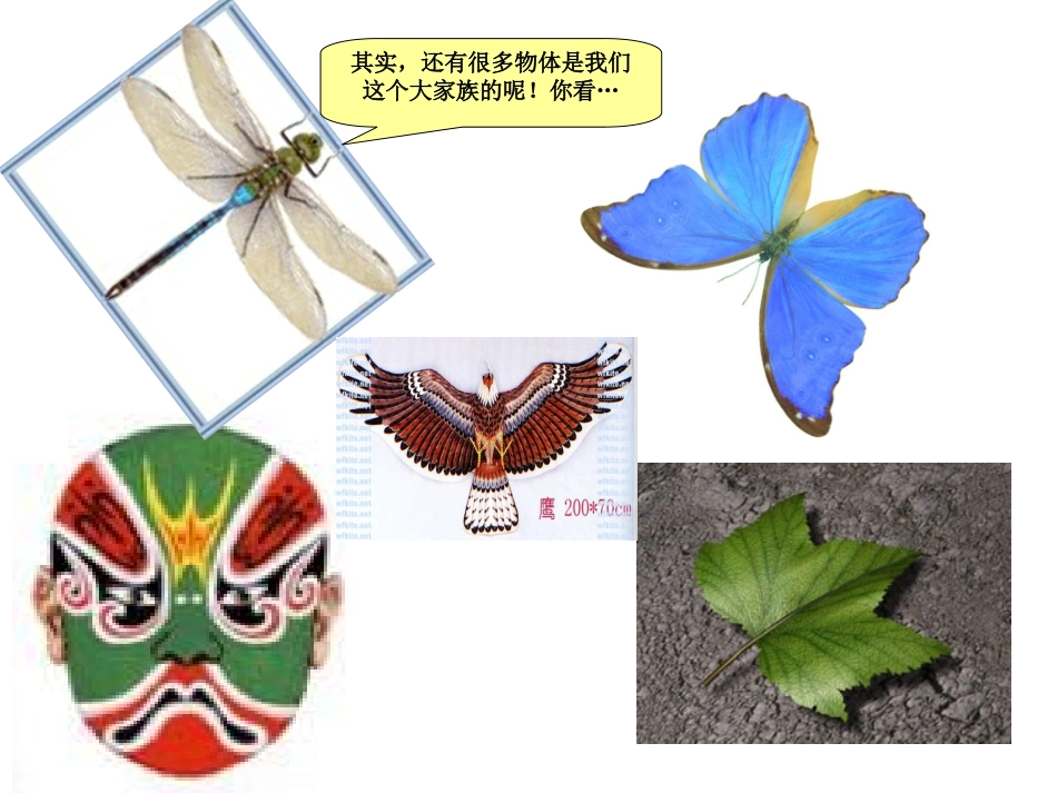 二年级下册《轴对称图形》课件_第3页