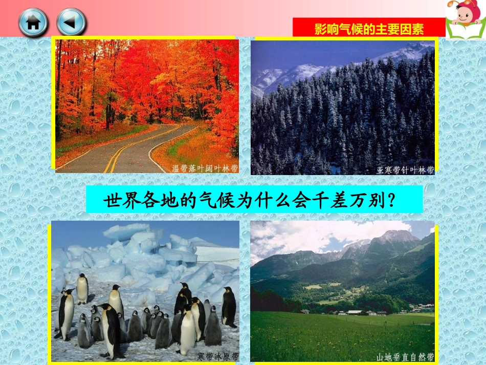 第三节影响气候的主要因素(1)_第3页
