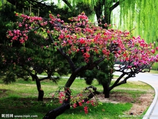 议论文阅读技巧