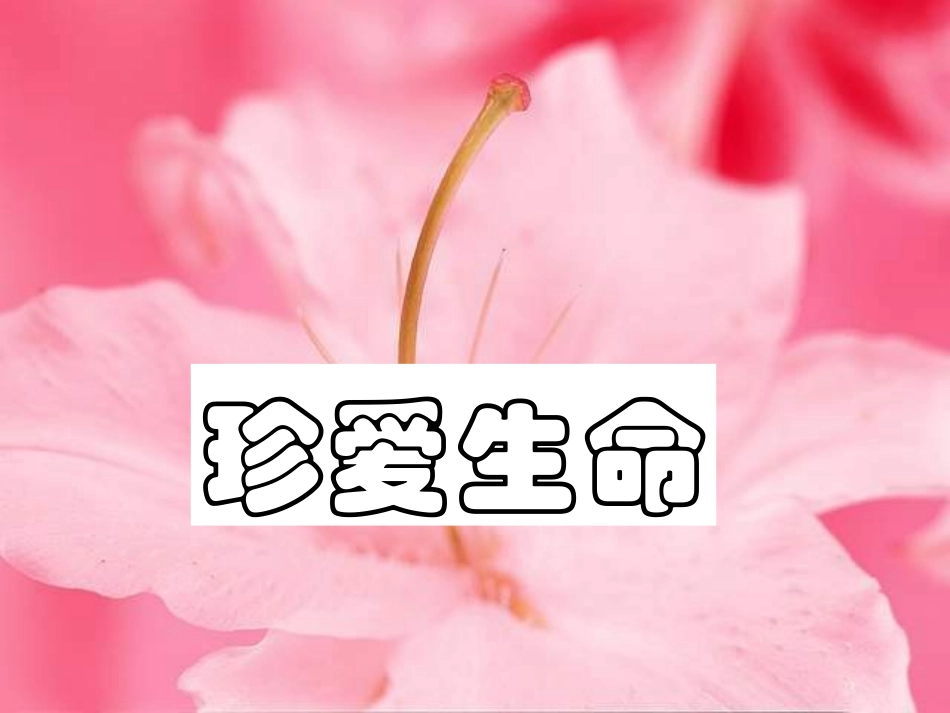 班会主题：安全第一记心中_第3页