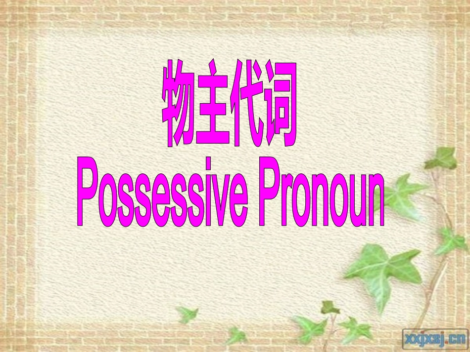 物主代词复习课件_第1页