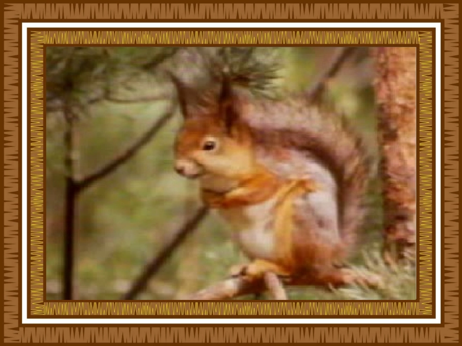 小松鼠找花生果_第2页