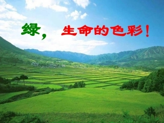 《绿》课件郝新英