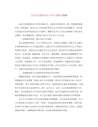 公共卫生服务项目工作计划格式