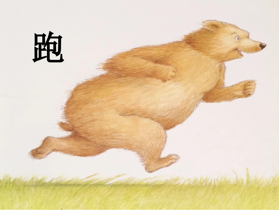 大大行，我也行PPT_第3页