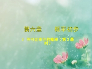 等可能事件的概率
