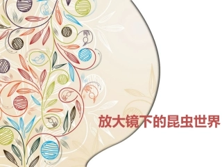 微小世界_-_第二课时-放大镜下的昆虫世界