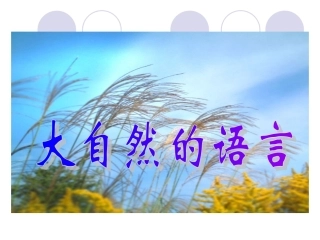 北师大版小学三下《大自然的语言》课件