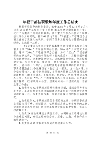 年轻干部挂职锻炼年度工作总结★ 