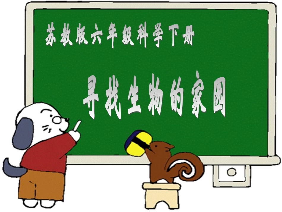苏教版小学科学六年级下册《寻找生物的家园》PPT课件_第1页