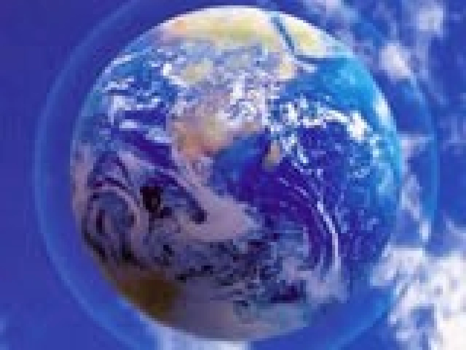 苏教版小学科学六年级下册《寻找生物的家园》PPT课件_第2页