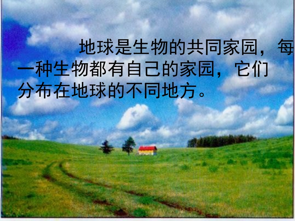 苏教版小学科学六年级下册《寻找生物的家园》PPT课件_第3页