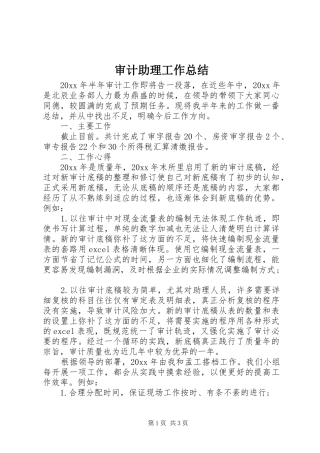 审计助理工作总结 