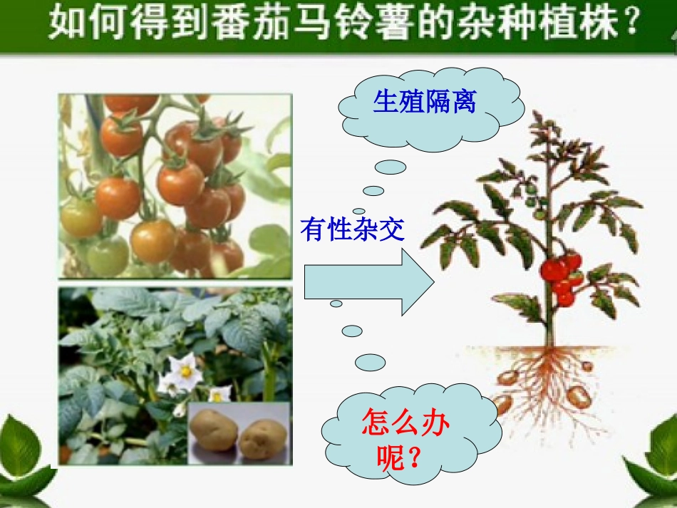 植物细胞工程_第2页