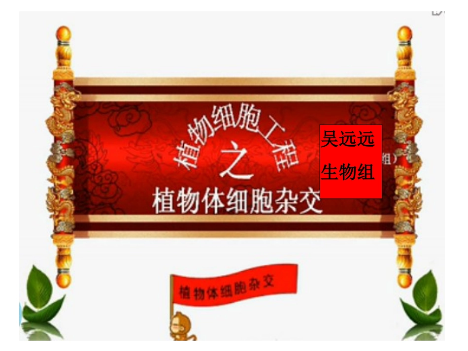 植物细胞工程_第3页