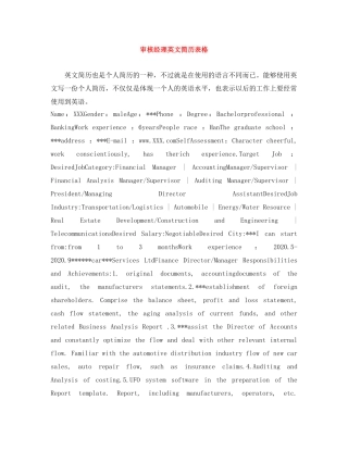 审核经理英文简历表格 