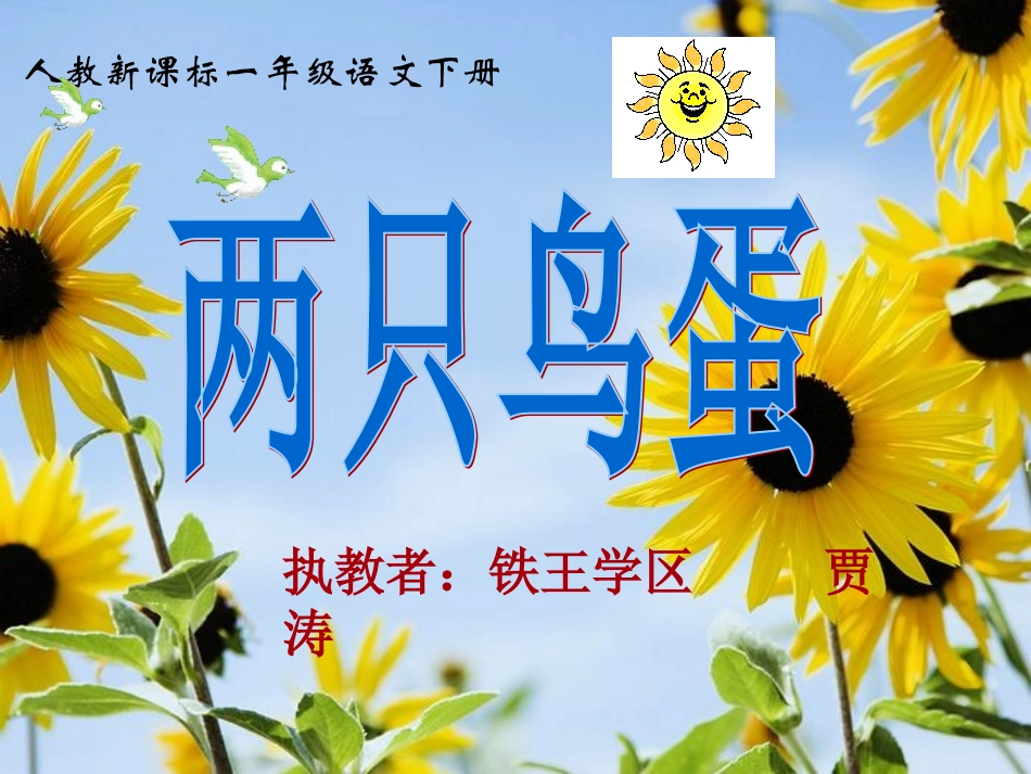 《两只鸟蛋》课件 (2)_第1页