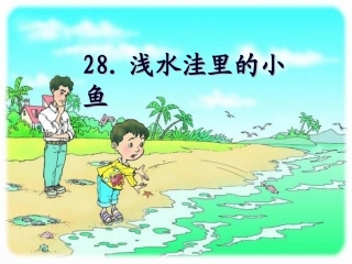 《浅水洼里的小鱼》课件讲课
