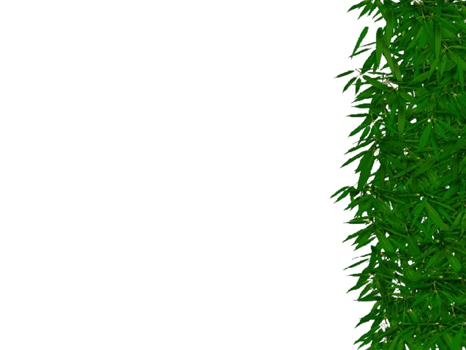 十七课《国宝大熊猫》[1]~7A7C1_第1页