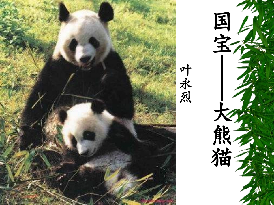 十七课《国宝大熊猫》[1]~7A7C1_第2页