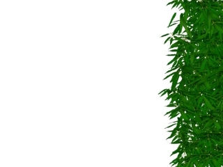 十七课《国宝大熊猫》[1]~7A7C1