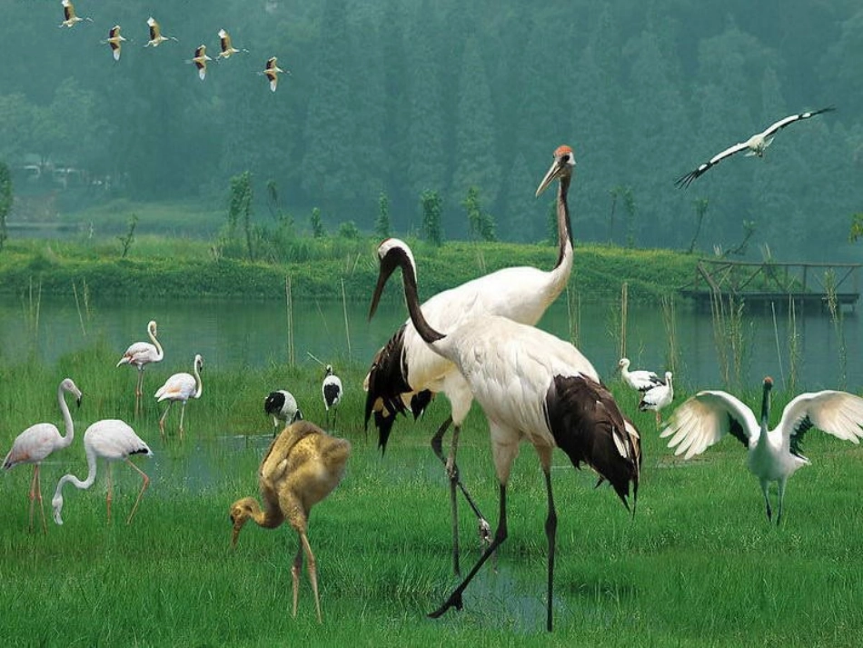 和谐的大自然)_第2页