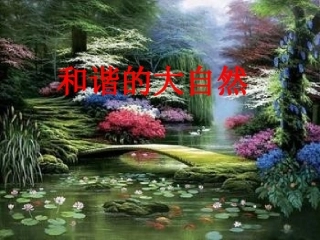 和谐的大自然)