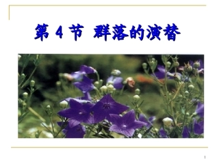 第四章第四节群落的演替