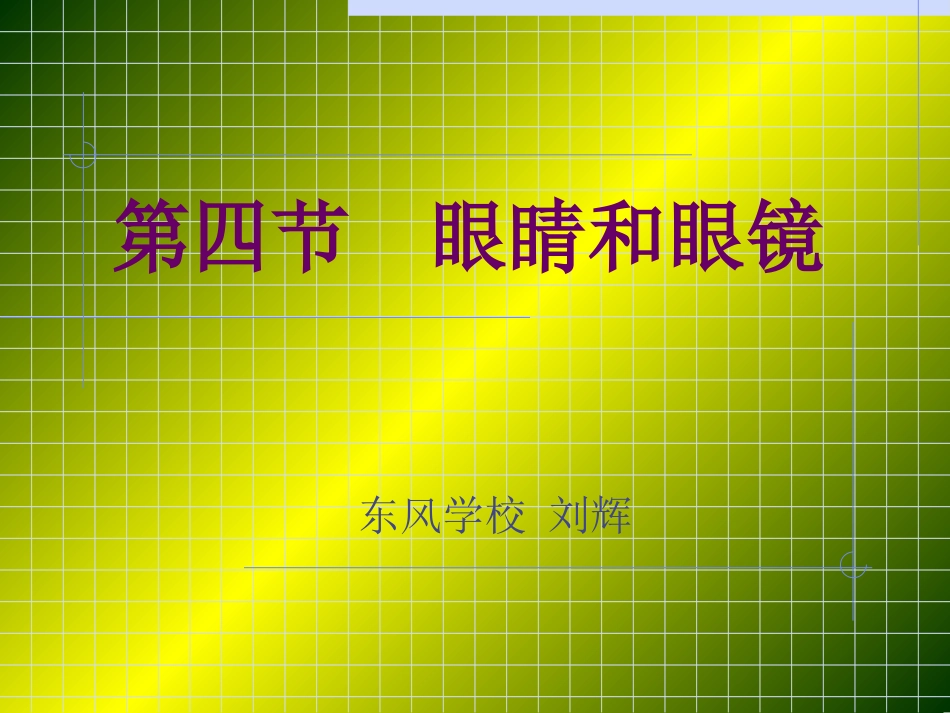 眼睛和眼镜 (2)_第1页