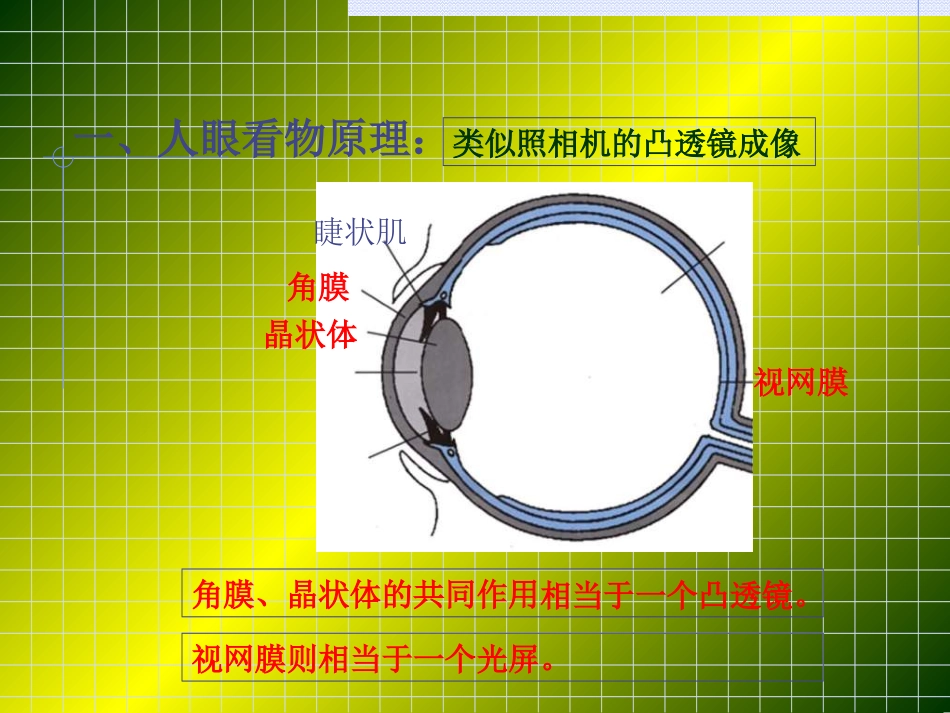 眼睛和眼镜 (2)_第2页