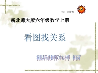 看图找关系课件1