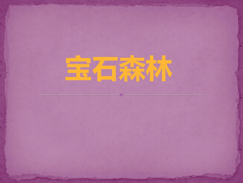 思维汇报《宝石森林》_第1页