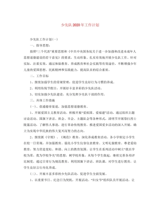 少先队年工作计划