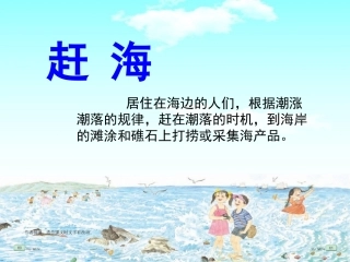苏教版三下11《赶海》