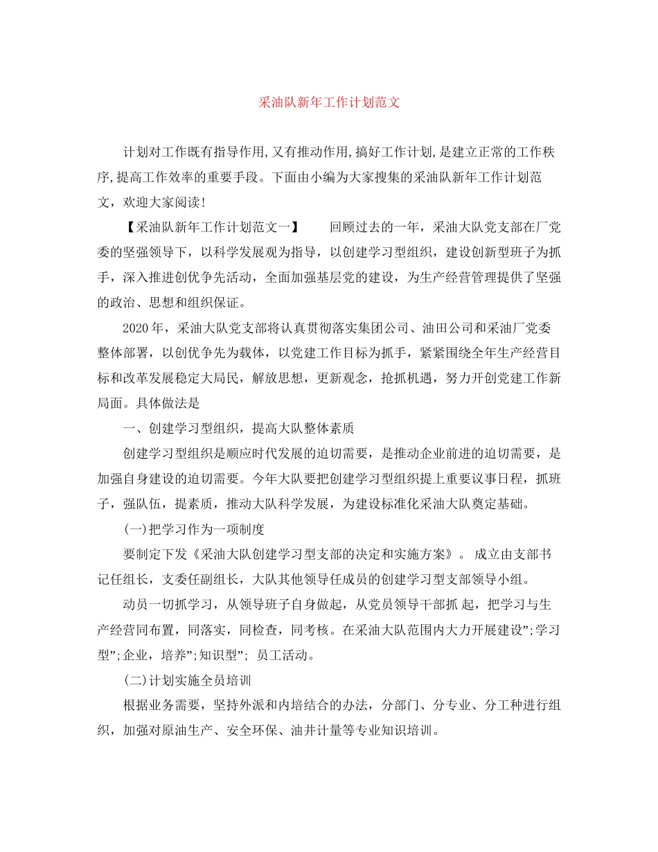 采油队新年工作计划范文_第1页