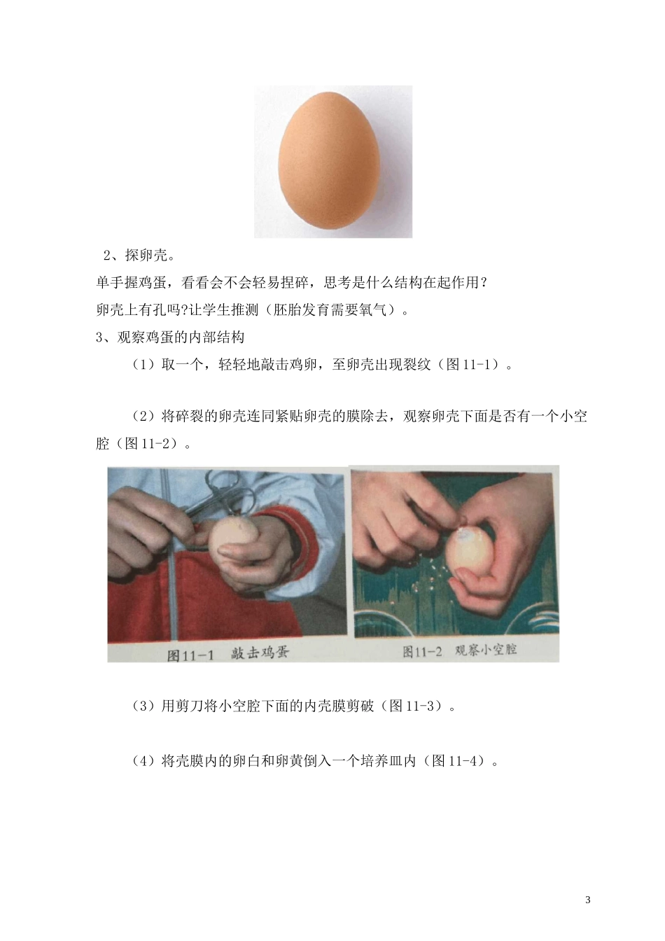 观察鸡卵的结构改正 实验课_第3页
