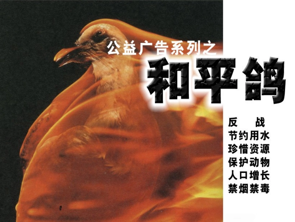 公益广告系列和平鸽_第1页