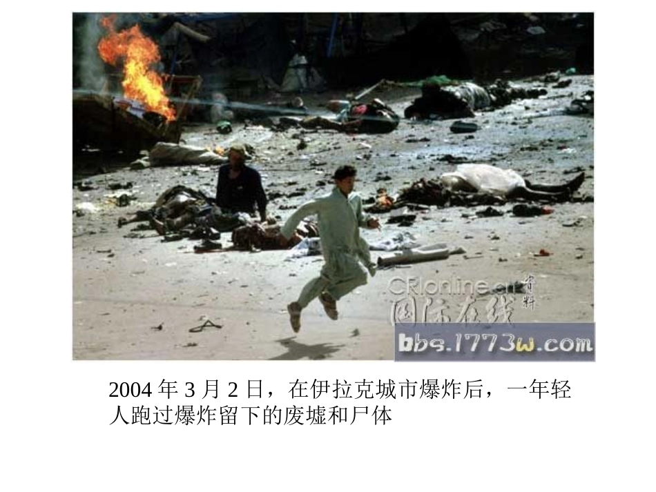 公益广告系列和平鸽_第3页