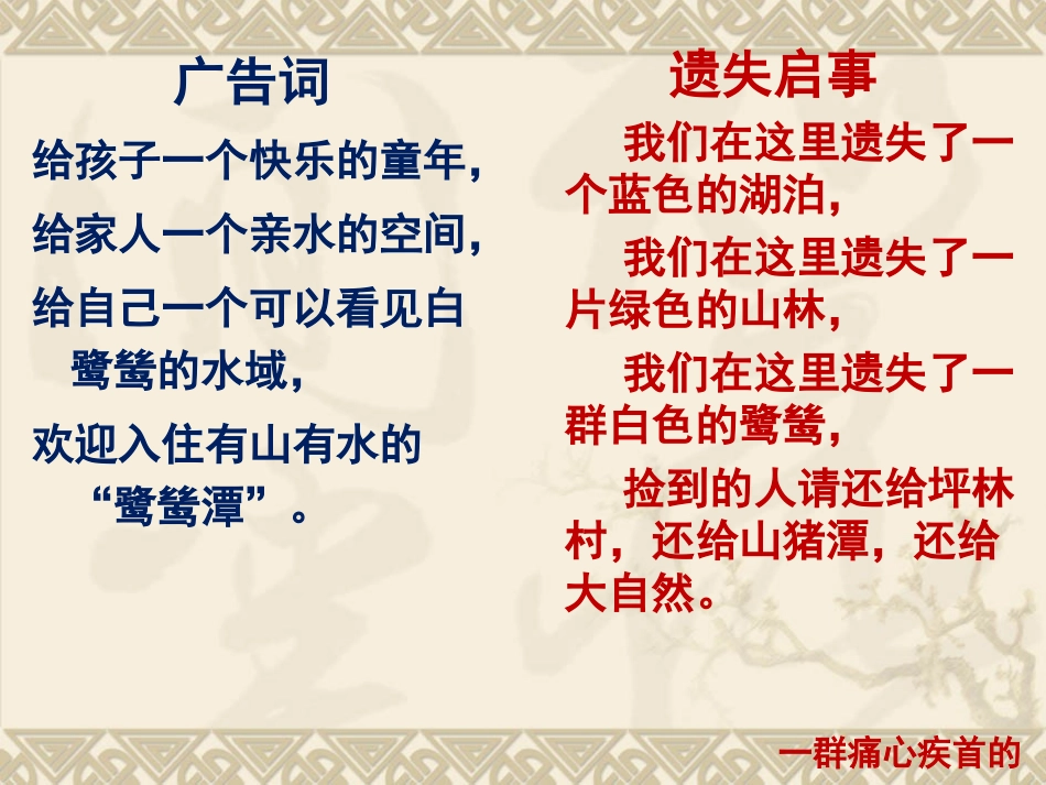 最后一只白课件鹭鸶_第2页