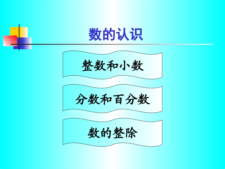小学数学毕业总复习_第2页