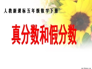 _真分数和假分数_