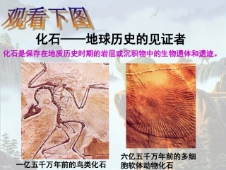 《化石吟》_1