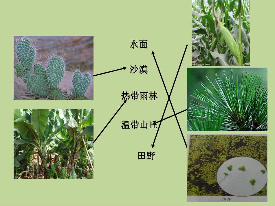 原来是相互关联的(1)_第2页