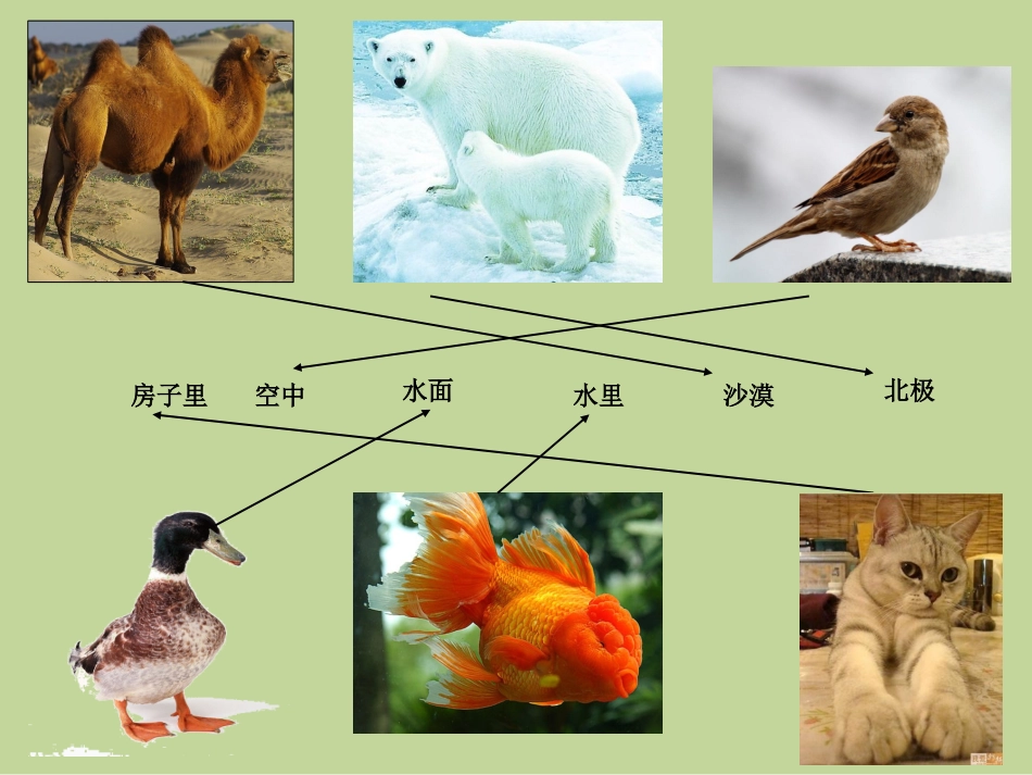 原来是相互关联的(1)_第3页