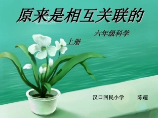 原来是相互关联的(1)