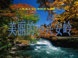 美丽的小兴安岭（优秀）