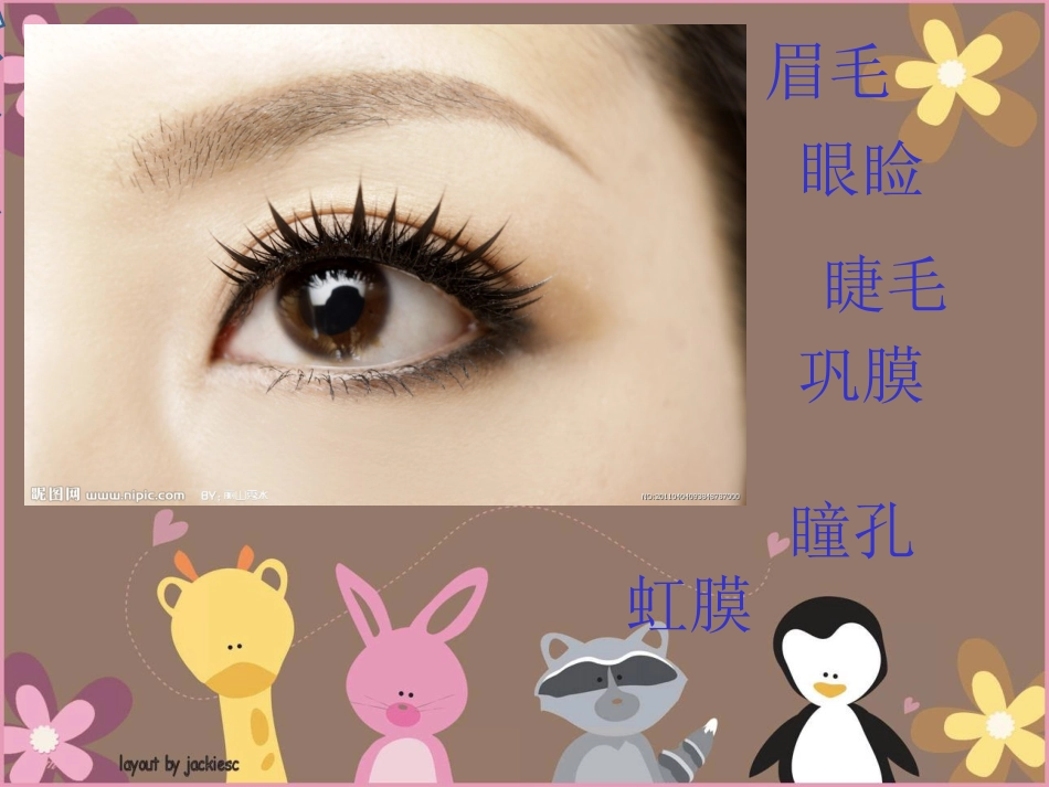 中班健康：会说话的眼睛_第2页