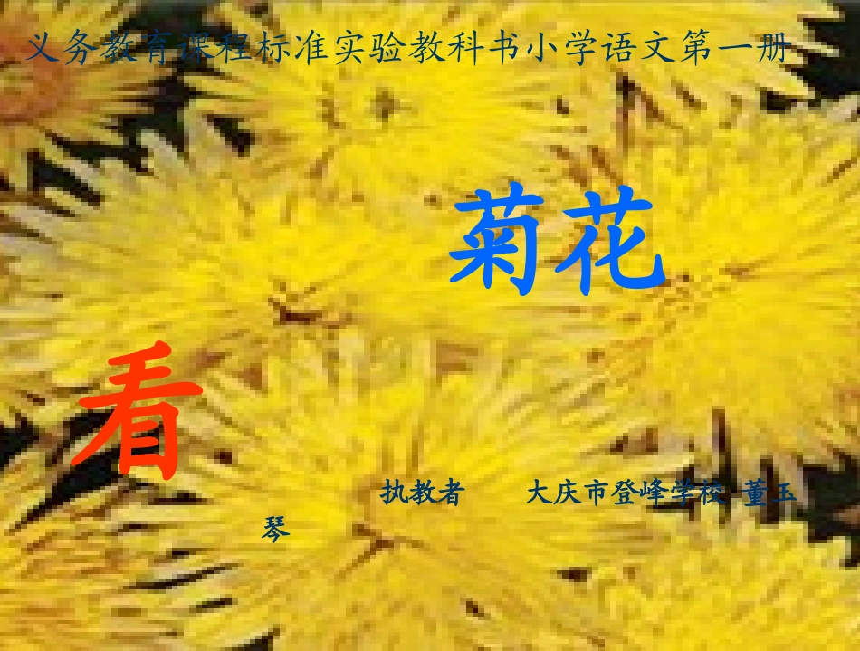 看菊花 (2)_第1页
